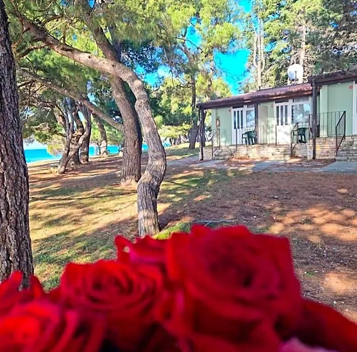 Family Bungalow Pineta-1