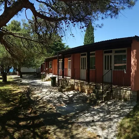 Family Bungalow Pineta-2